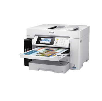 imagen_2025-10-13_233317693